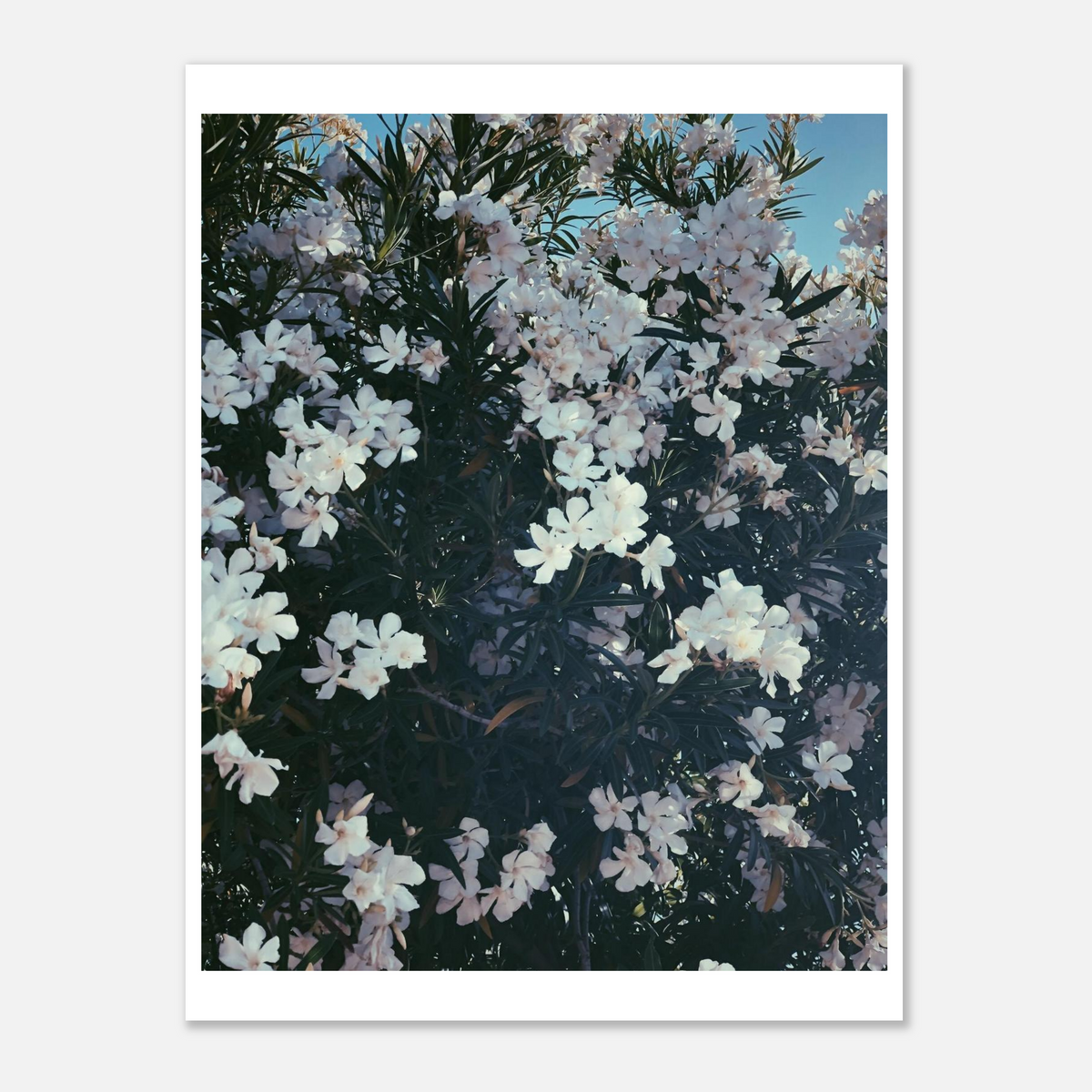 b3eb3d2e-a856-4e0a-a481-eb1c5fc843c9