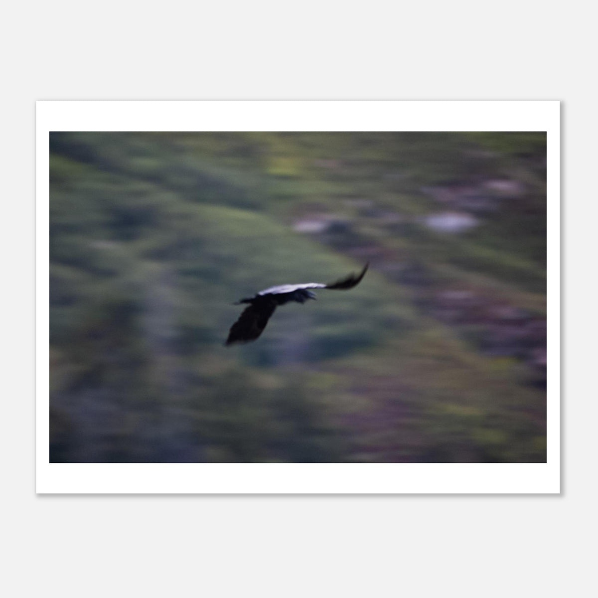 ff083cf7-ec8f-4b6f-80bb-59e9c5f8ce69